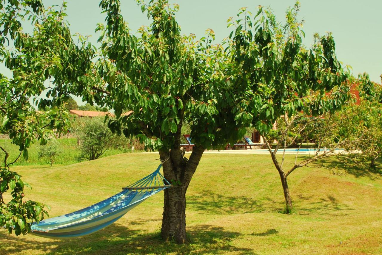 Villa Dorina Barban Extérieur photo