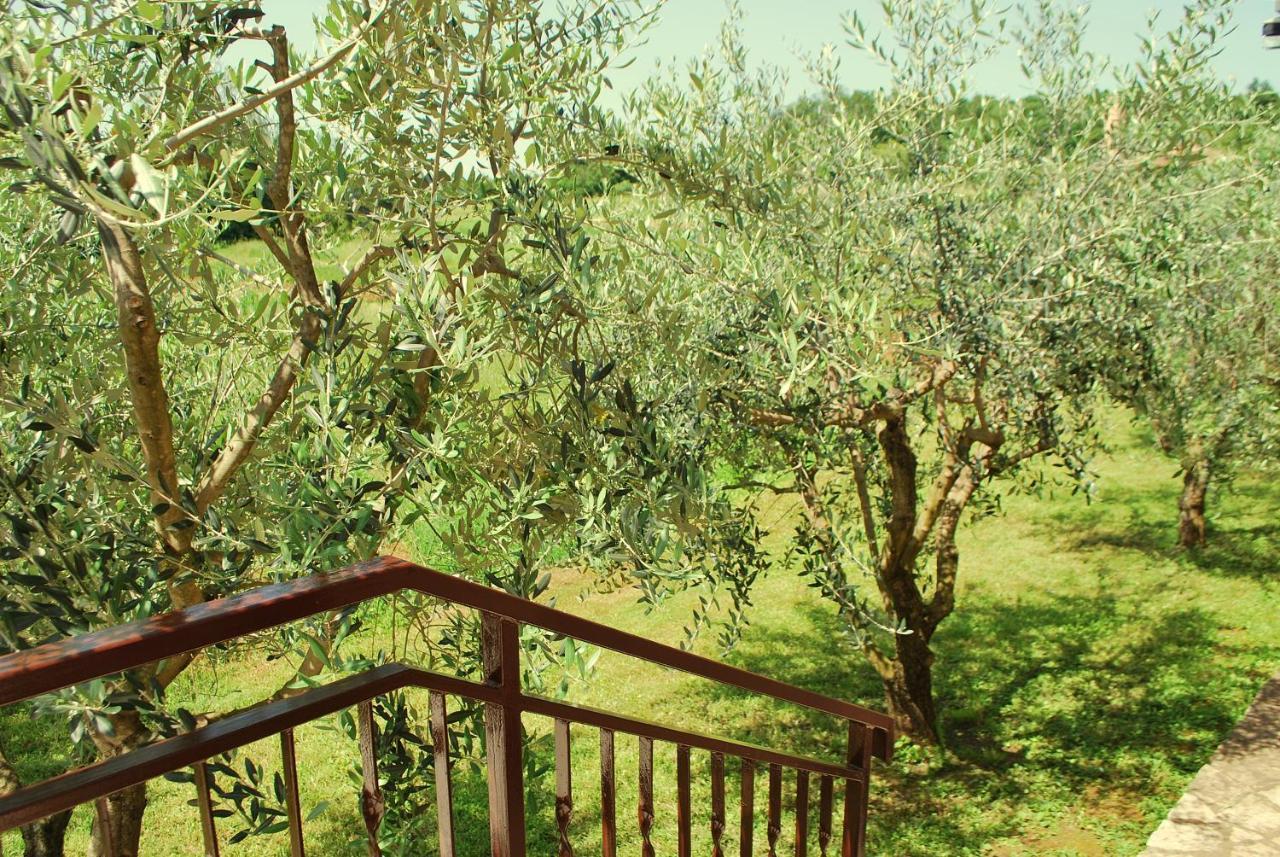 Villa Dorina Barban Extérieur photo