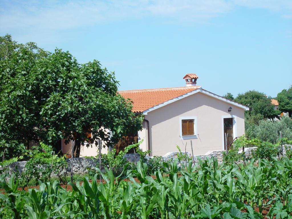 Villa Dorina Barban Chambre photo